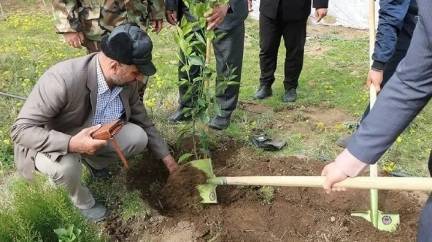 ایجاد پارک زندگی برای توسعه فرهنگ درختکاری