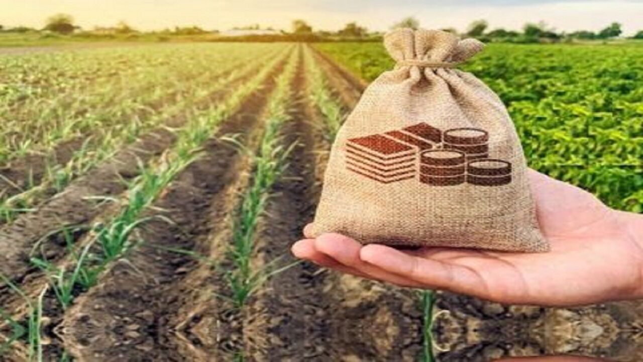 پرداخت غرامت‌های تأییدشده هفتگی شد