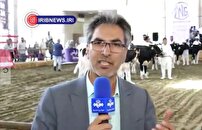 جدیدترین دستاورد‌های صنایع دام و طیور در شهر آفتاب