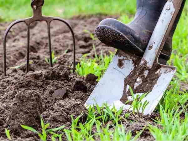 پایش ملی خاک، مبنای مدیریت پایدار اراضی کشاورزی