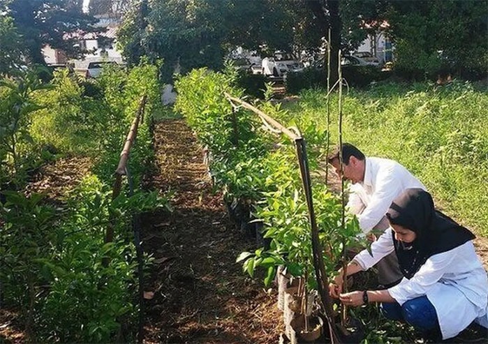 آموزش کشاورزان باید پیش از کلنگ زنی انجام شود