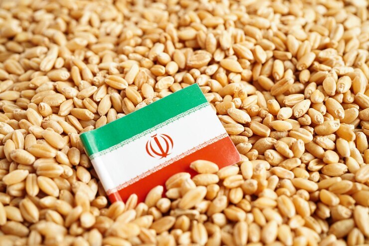 ایران دارای سومین ذخایر غلات آسیا