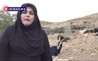 افزایش تاب آوری اقتصادی عشایر با طرح مکان محور