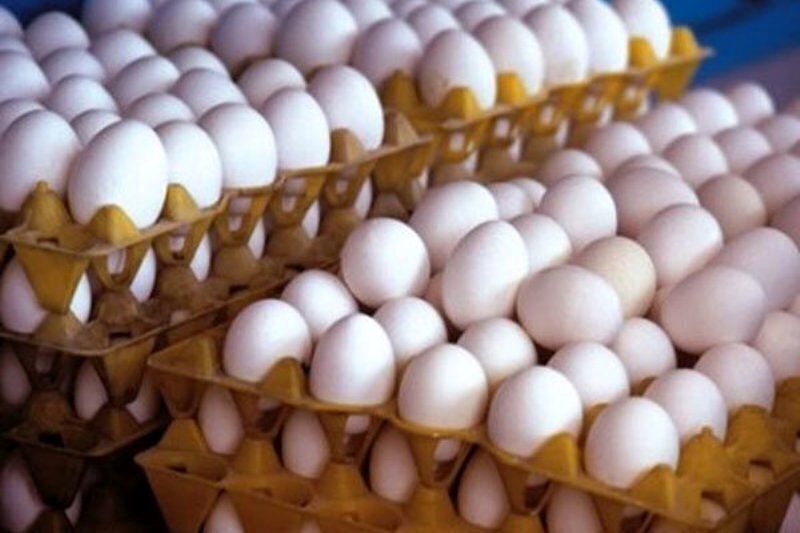 پیشنهاد نرخ ۲۷۱ هزار تومانی تخم‌مرغ