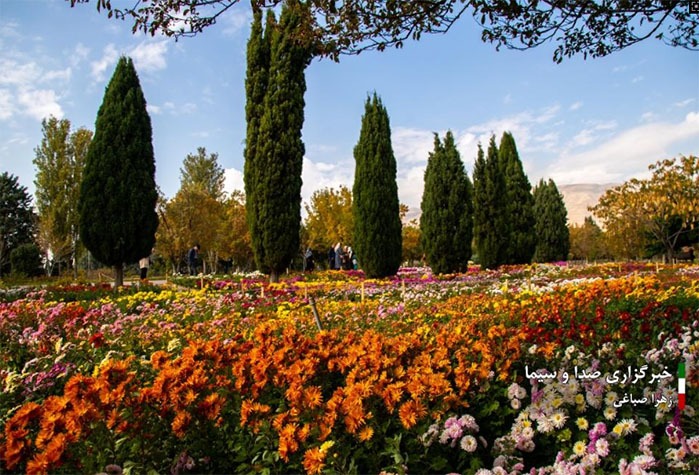 نگهداری از ۵.۵ میلیون نمونه ژنتیکی در ذخیره گاه‌های تات