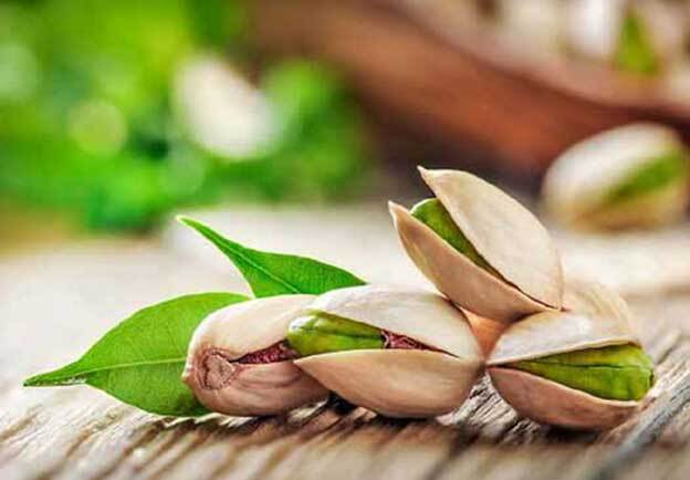 روزی به نام محبوبترین آجیل ایرانی