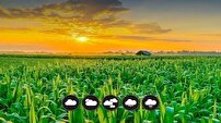 توصیه های هواشناسی کشاورزی