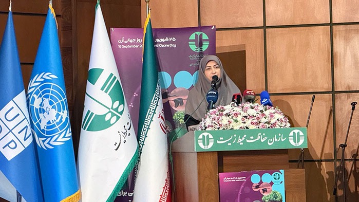 انصاری: لایه ازون در مسیر ترمیم و احیا قرار گرفته است