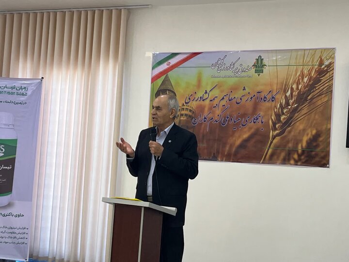 نرخ ۸۵ هزار تومانی هر کیلو گندم روی میز شورای قیمت‌گذاری