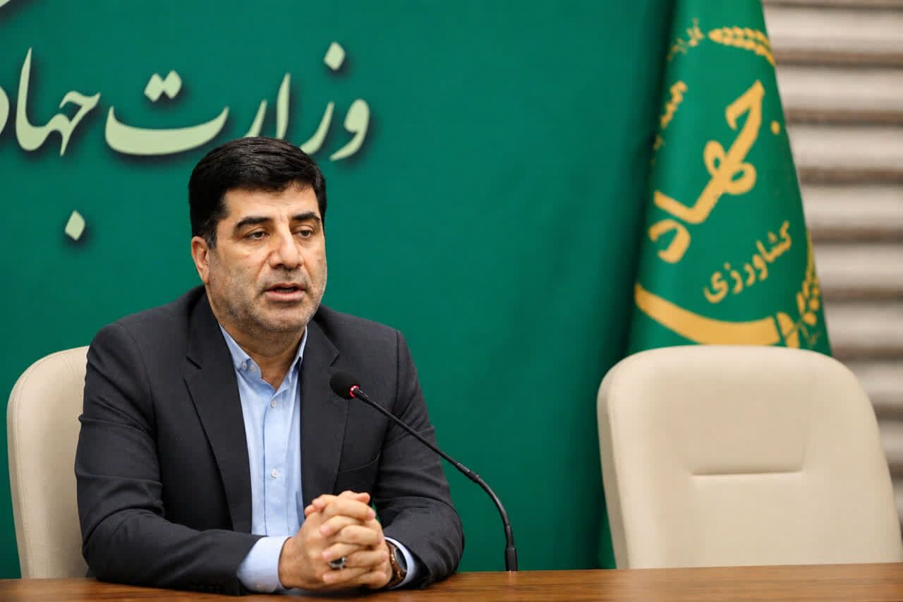 واریز کامل مطالبات گندمکاران تا پایان مهر