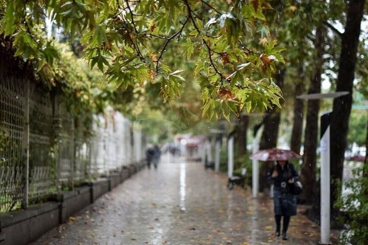 ادامه بارش‌های پراکنده در برخی مناطق نوار شمالی کشور
