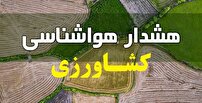 هواشناسی کشاورزی، پیش بینی و توصیه‌های کاربردی