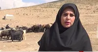 عشایر و روستاییان مصداق اقتصاد مقاومتی