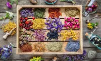 خام فروشی گیاهان معطر و دارویی