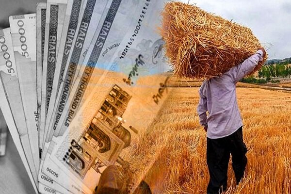 تسویه کامل مطالبات گندم‌کاران تهران تا روز‌های آینده