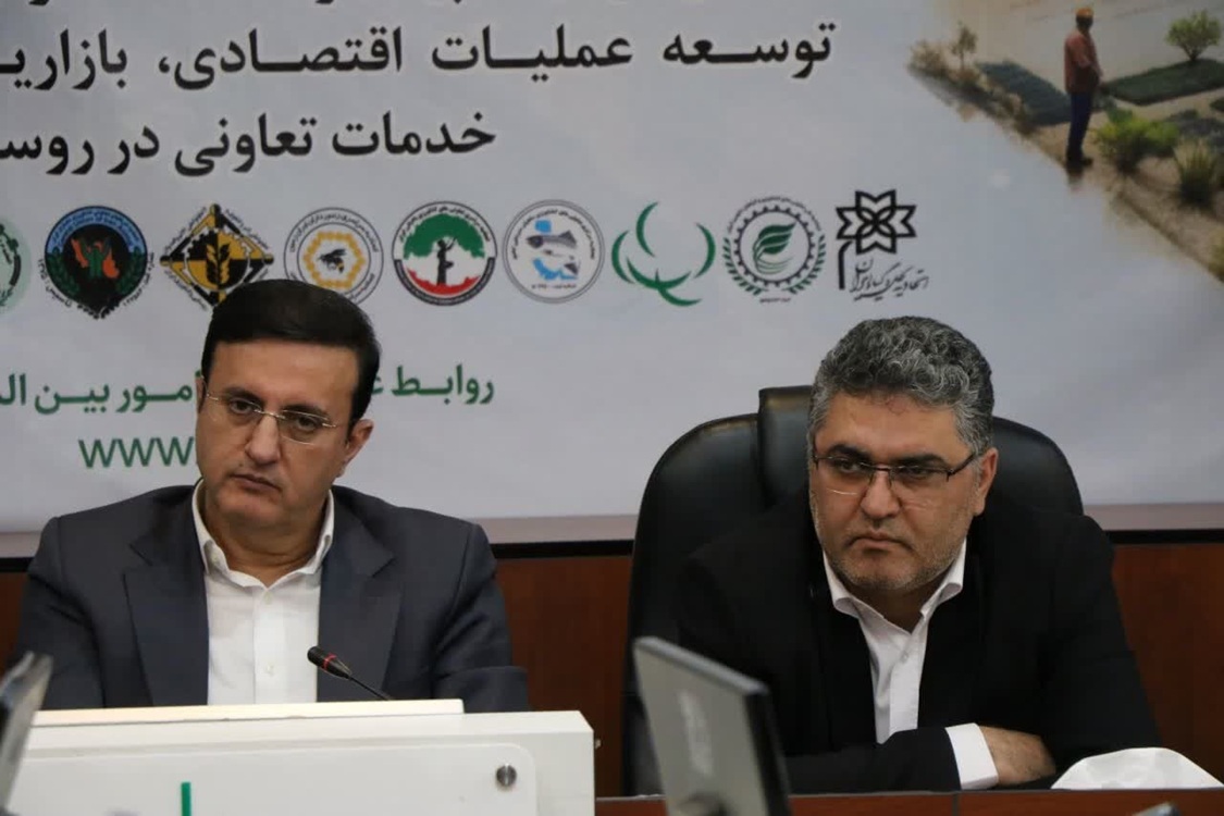 صیانت از ساختار قانونی تعاون روستایی ضروری است