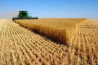 خیز کشاورزی دیم برای جهش تولید