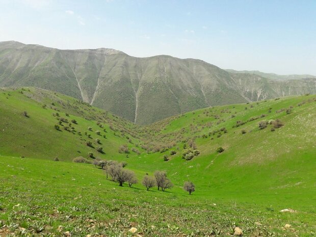 پایان ممیزی مراتع کل کشور تا پایان سال