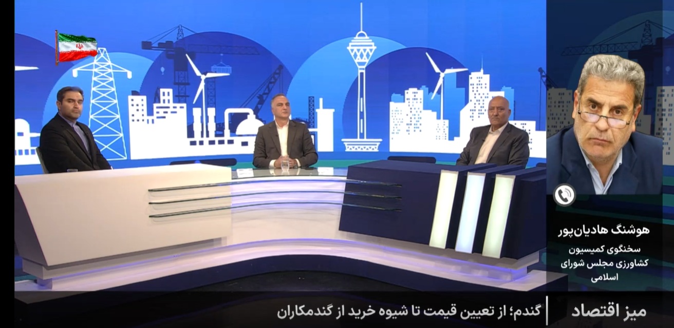 اختلاف بر سر قیمت گندم و بلا تکلیفی گندم کاران