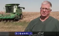 بازار جهانی کود شیمیایی در آستانه جهش دوباره