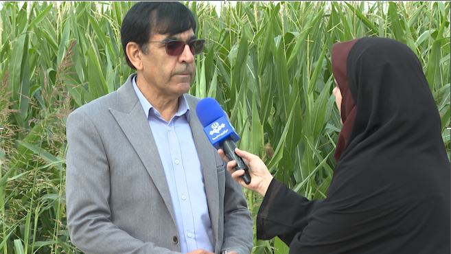 برنامه‌ریزی برای هوشمندسازی ۵۰ هزار هکتار از مزارع کشور در سال جاری