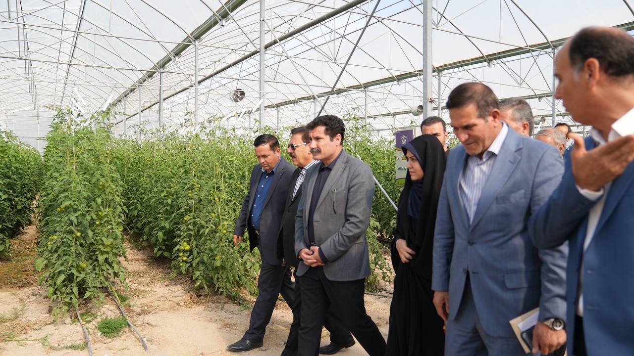 حمایت از کسب‌وکار‌های روستایی با اعتبارات ارزش افزوده